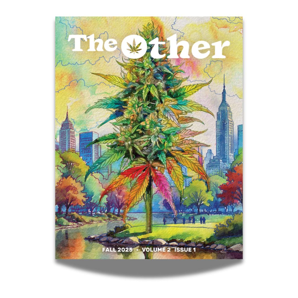 Fall 2025 - Volume 2 - Issue 1